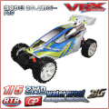 1/5 gas Powered RTR Buggy para la venta, 2WD gasolina Buggy en diseño único